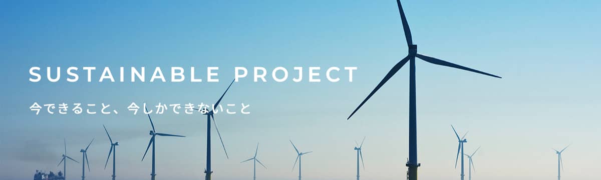 sustainable project