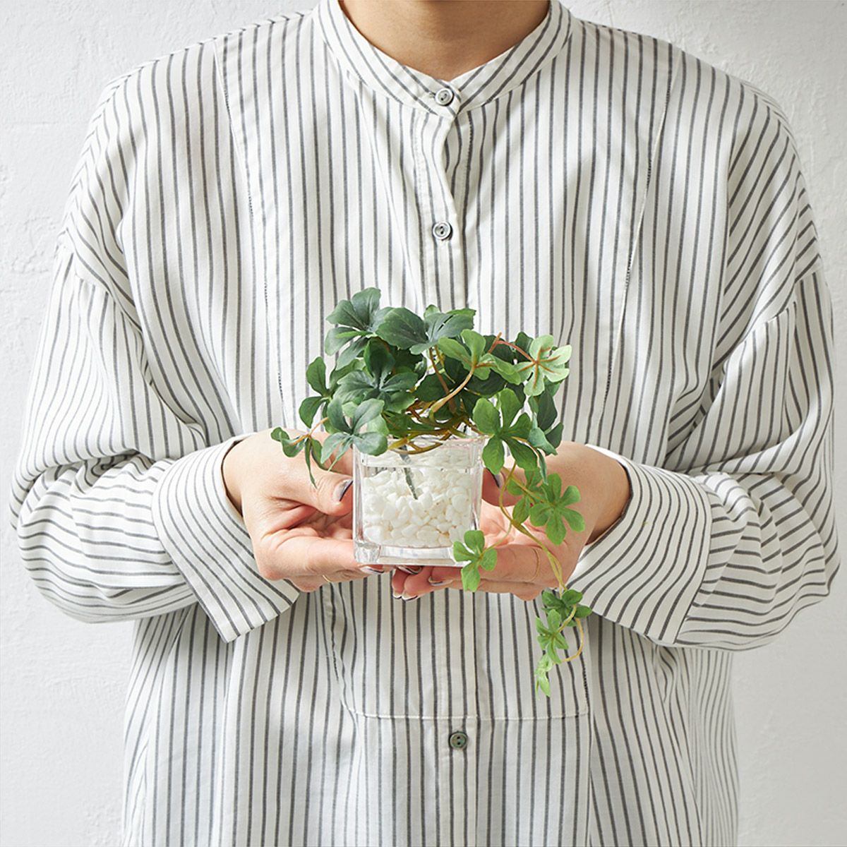 卓上グリーン３点セット プミラxシュガーバインxアジアンタム ウォーターキューブ09