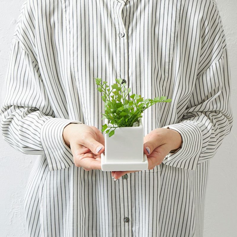 卓上グリーン３点セット プミラxシュガーバインxアジアンタム04