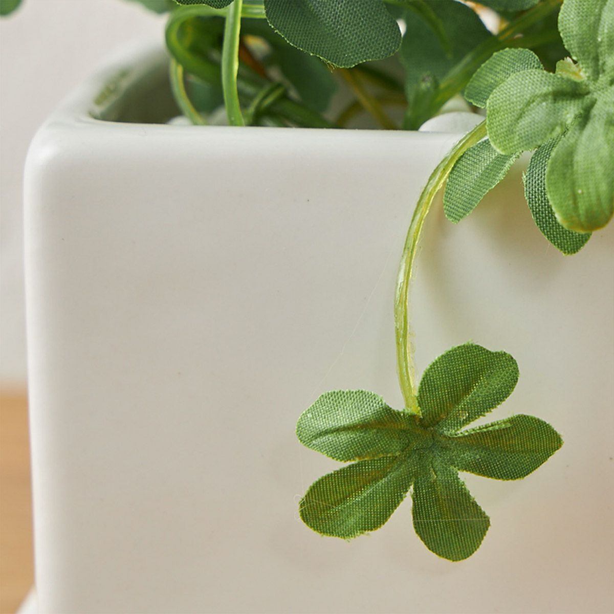 卓上グリーン３点セット プミラxシュガーバインxアジアンタム09