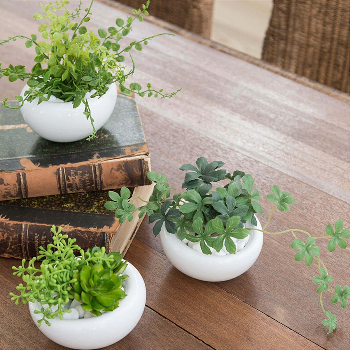 卓上グリーン シュガーバイン 白陶器02