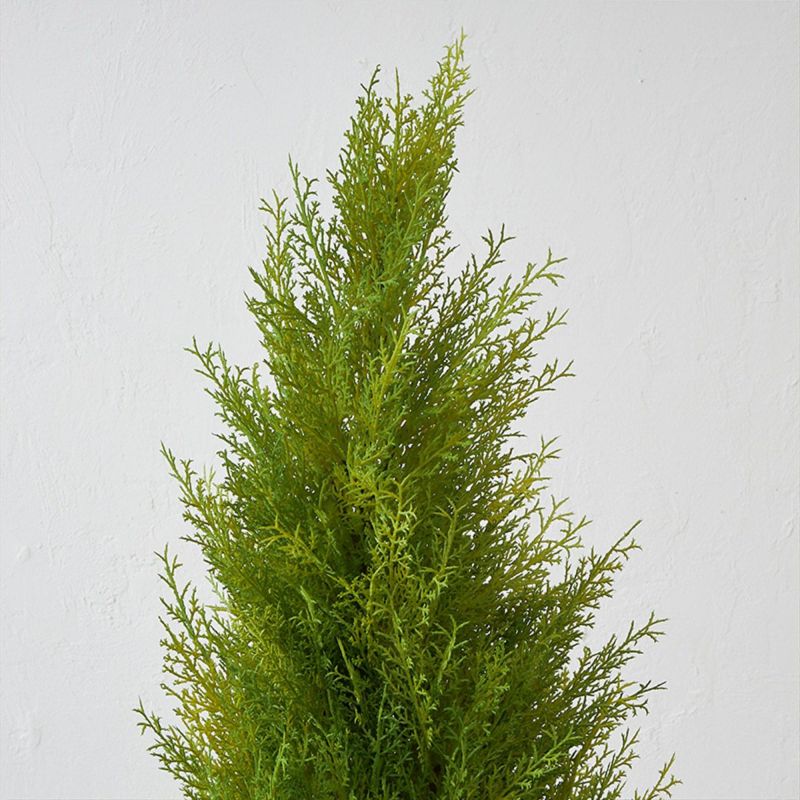 フロアグリーン ゴールドクレスト エッグポット H155 03