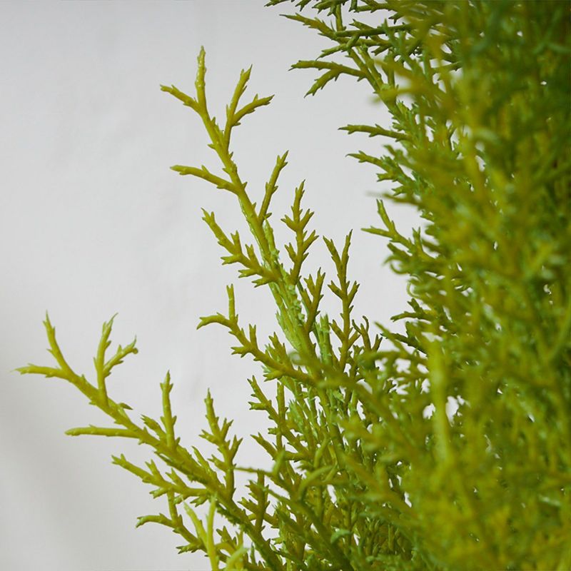 フロアグリーン ゴールドクレスト エッグポット H155 05