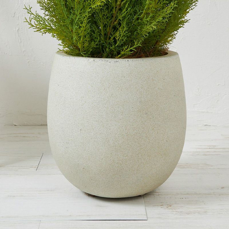 フロアグリーン ゴールドクレスト エッグポット H155 07