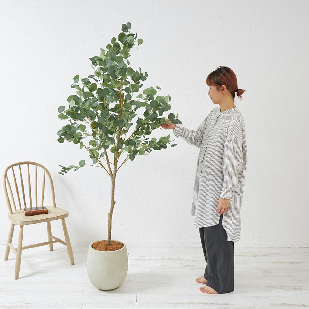 ユーカリ エッグポット H185 01