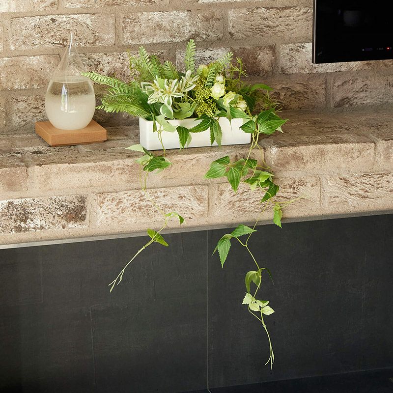 卓上グリーン テッセンソウ グリーン | オーダーカーペット・ラグの