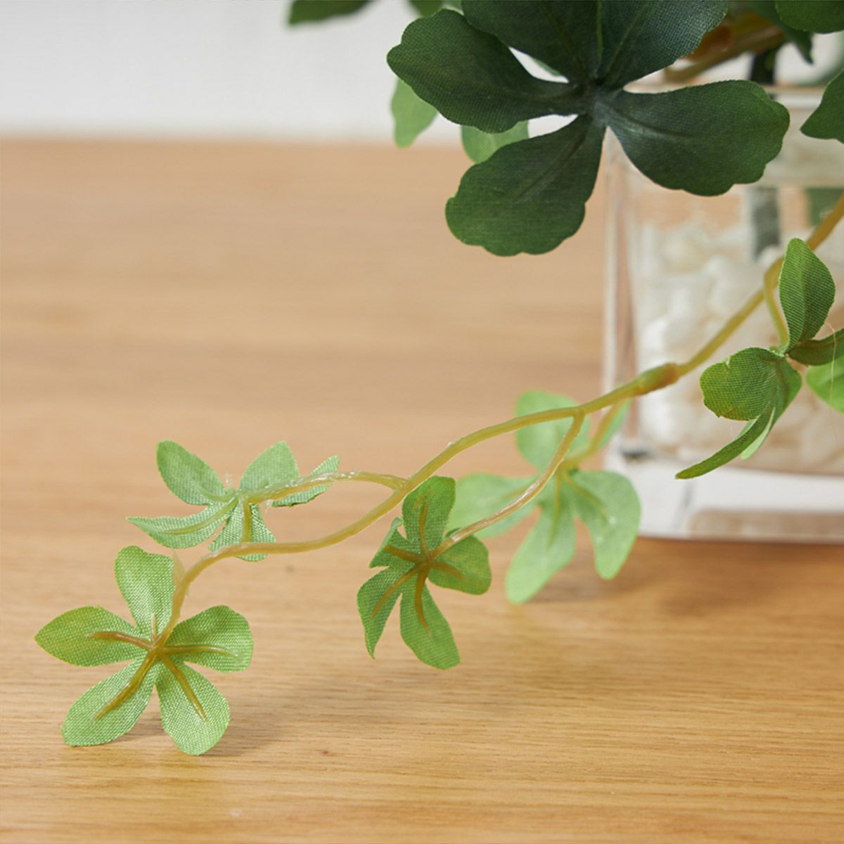 卓上グリーン３点セット ミリオンxシュガーバインxアジアンタム ウォーターキューブ07