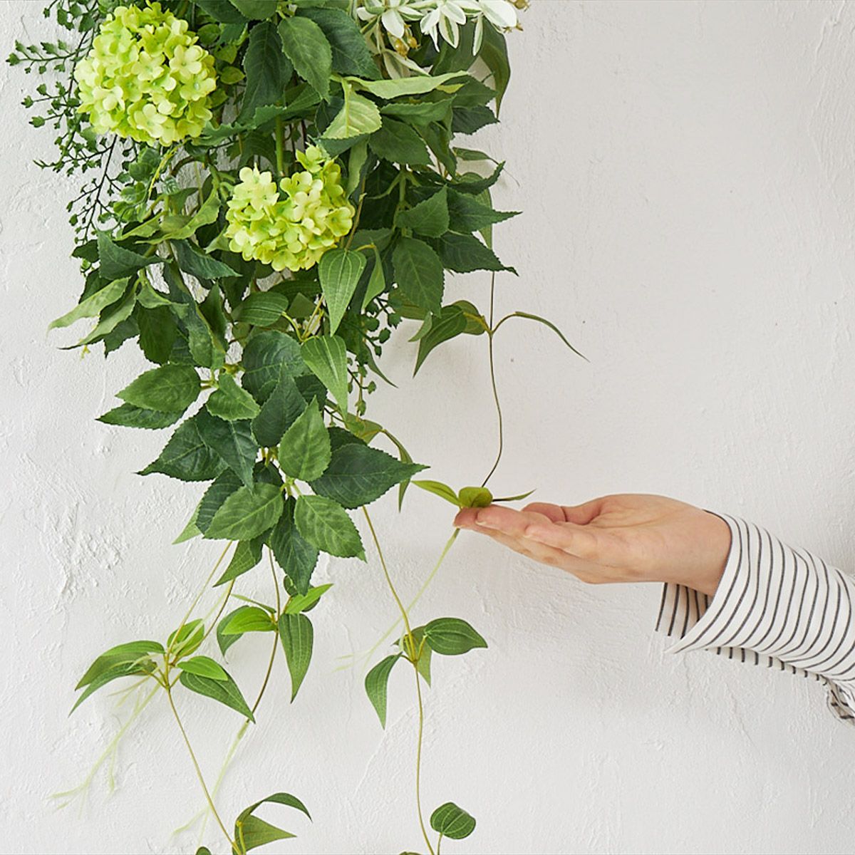 グリーンスワッグ ハツユキソウ L 05