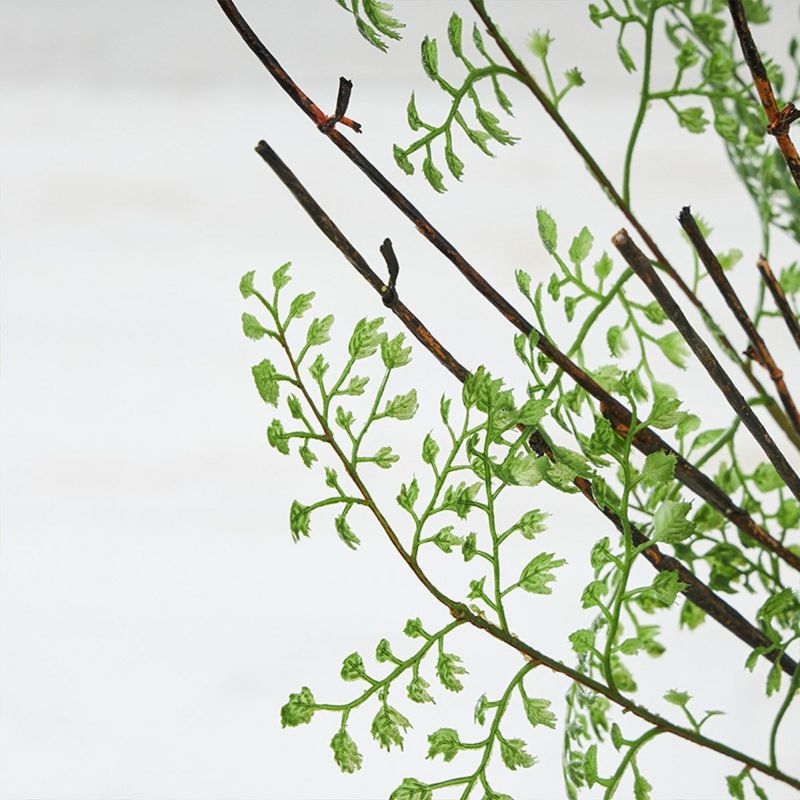 テーブルグリーン ドウダンツツジxアジアンタム　ガラスベース　H60 04