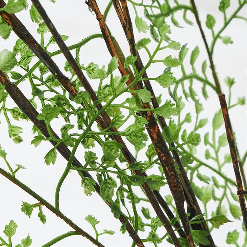 テーブルグリーン ドウダンツツジxアジアンタム　ガラスベース　H60 05