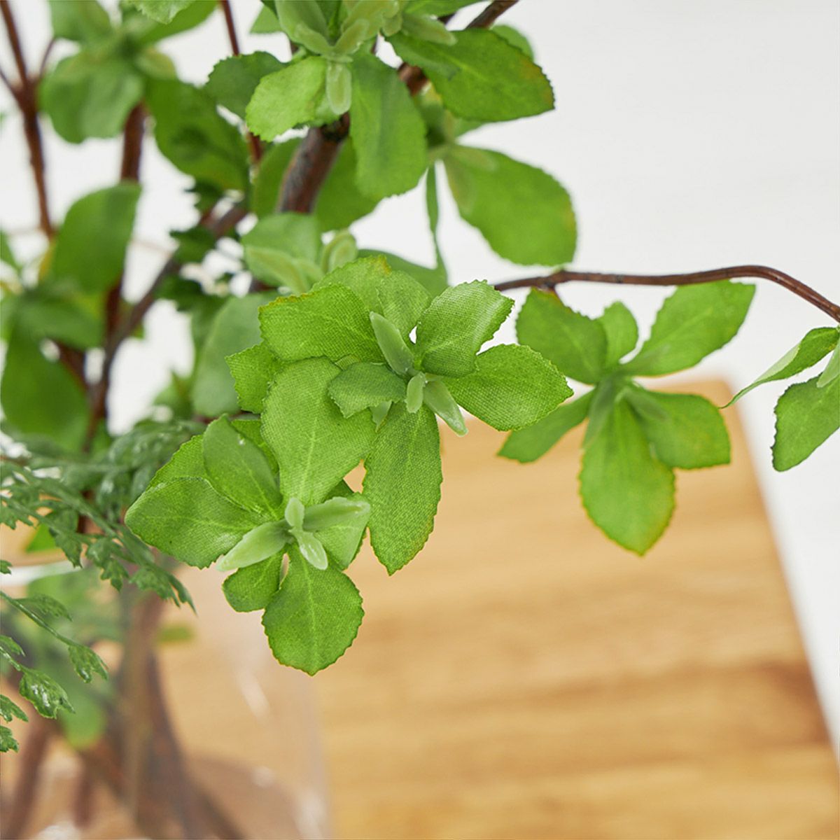 テーブルグリーン ドウダンツツジxアジアンタム　ガラスベース　H60 06