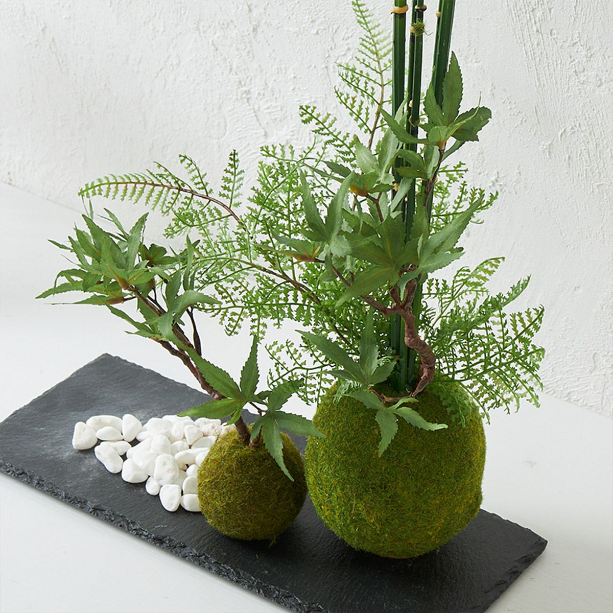 テーブルグリーン 寄せ植え 苔玉 H43 03