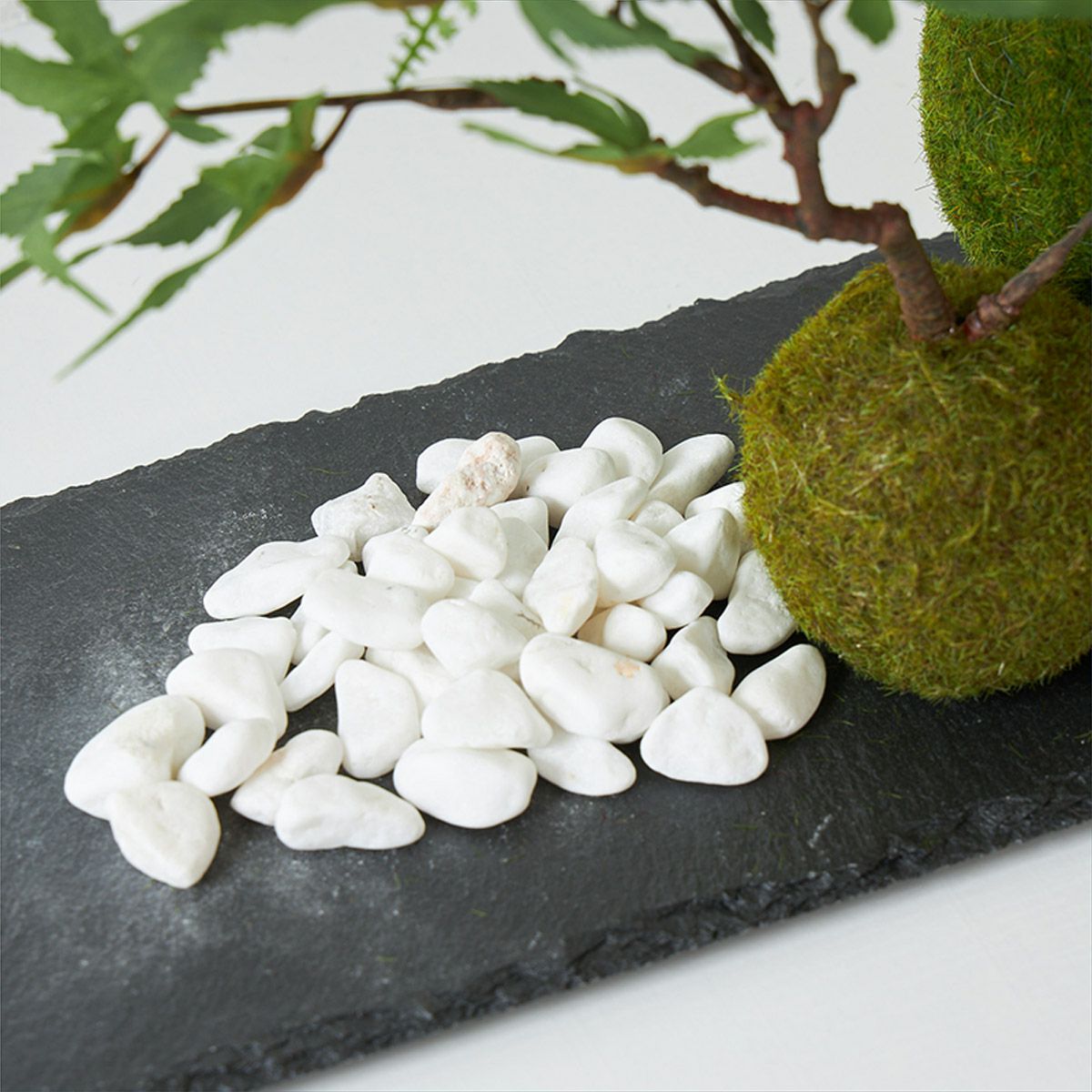 テーブルグリーン 寄せ植え 苔玉 H43 グリーン | オーダーカーペット