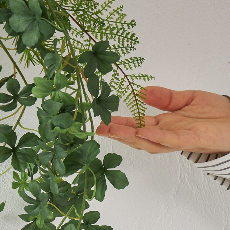 棚上・掛置兼用グリーン　シュガーバイン04