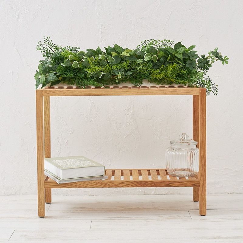 壁掛けグリーン　プミラｘシュガーバイン　ロング02