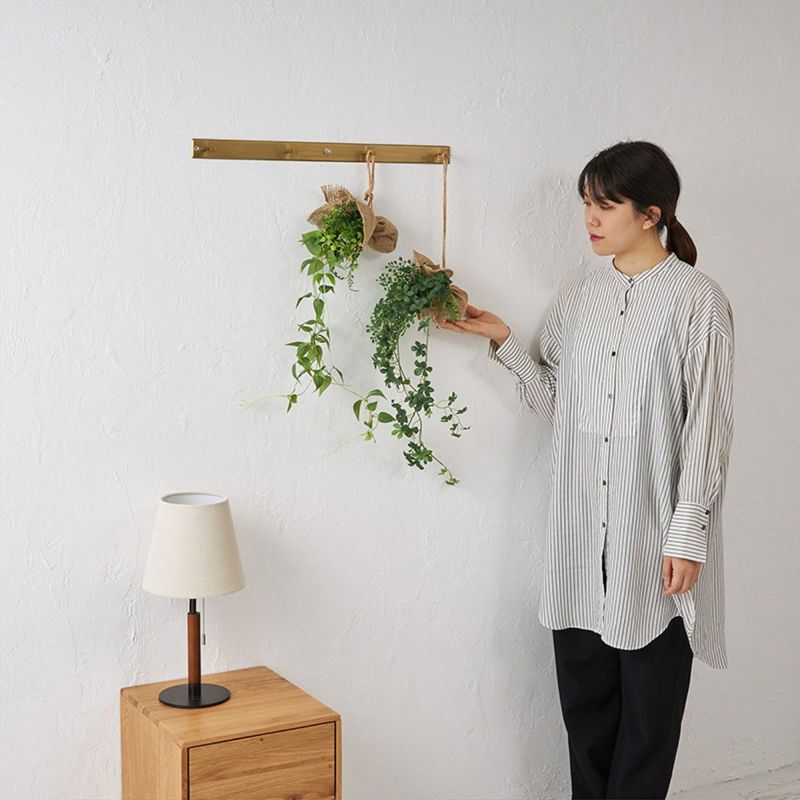 消臭ハンギンググリーン２個セット リキュウソウｘシュガーバイン04