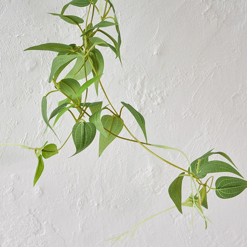 消臭ハンギンググリーン２個セット リキュウソウｘシュガーバイン06