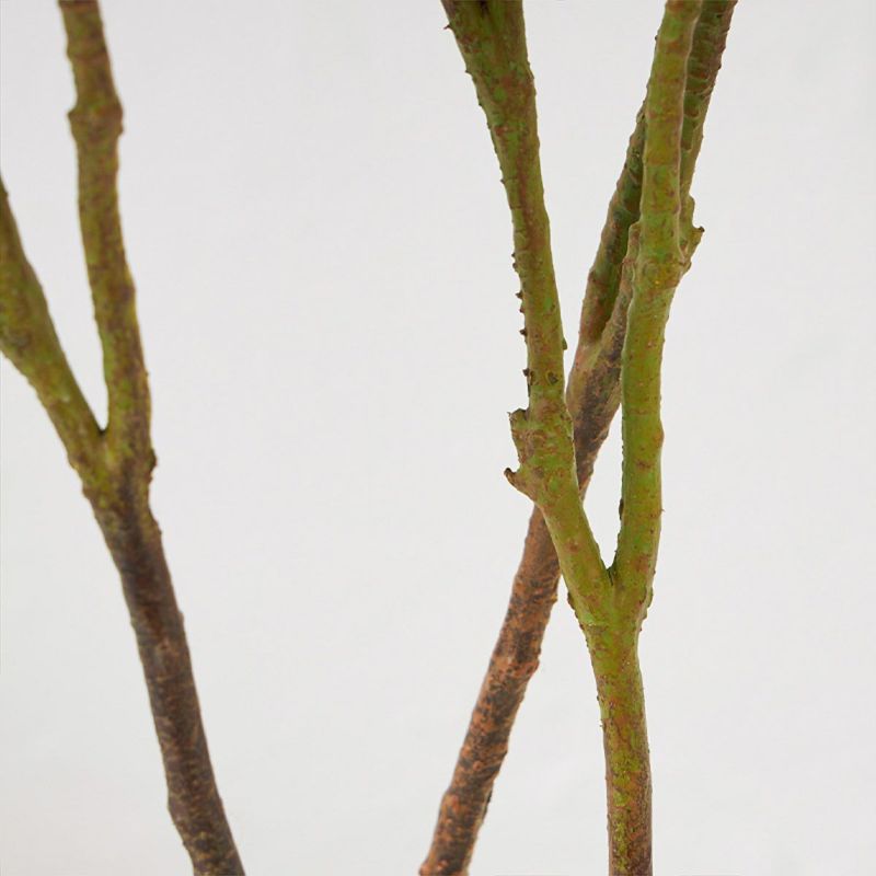 マグノリア スリムプランター H120cm06