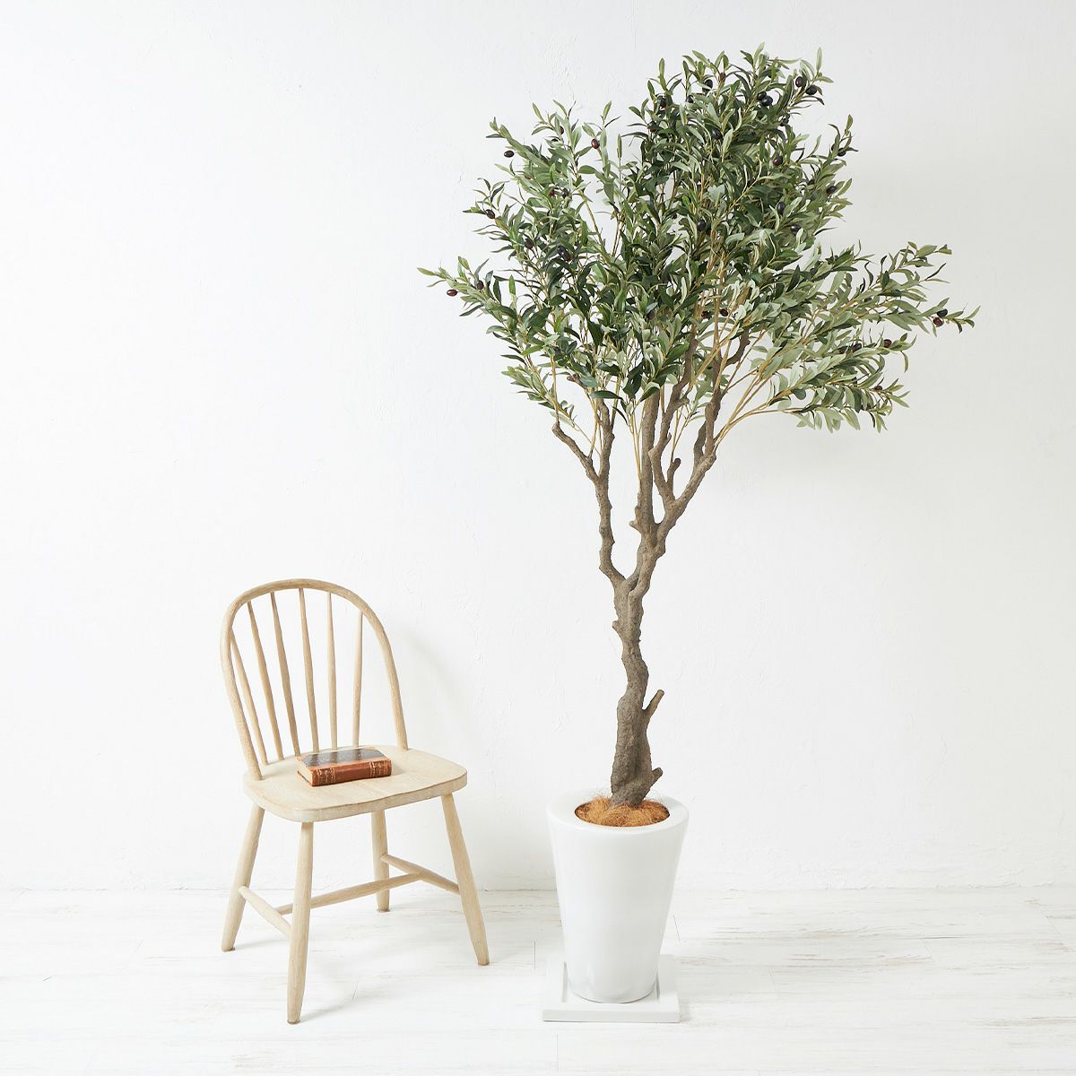 オリーブ スリムプランター H202 10