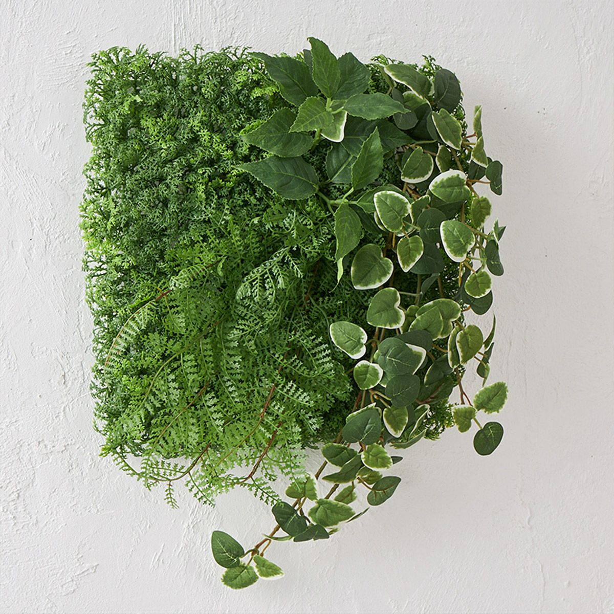 グリーンマット プミラｘシダファーン H38 03