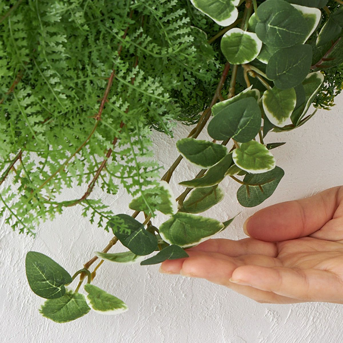 グリーンマット プミラｘシダファーン H38 04