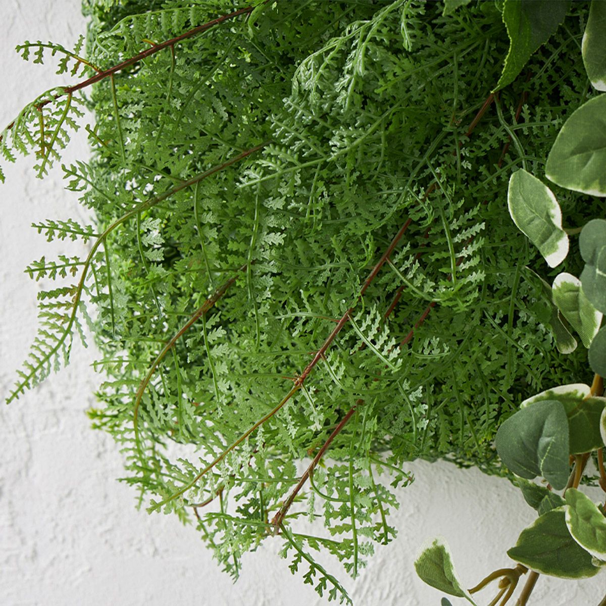 グリーンマット プミラｘシダファーン H38 05