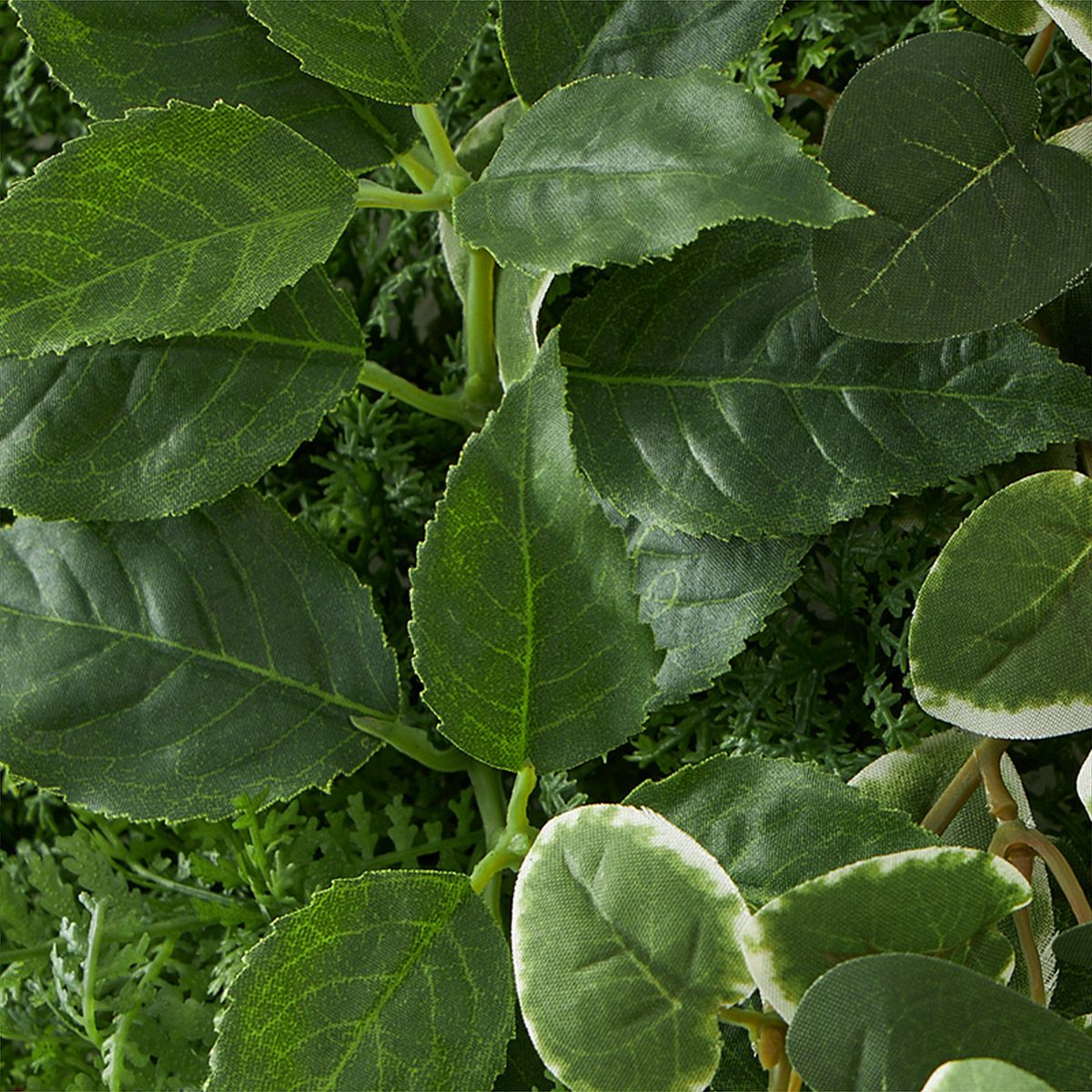 グリーンマット プミラｘシダファーン H38 06