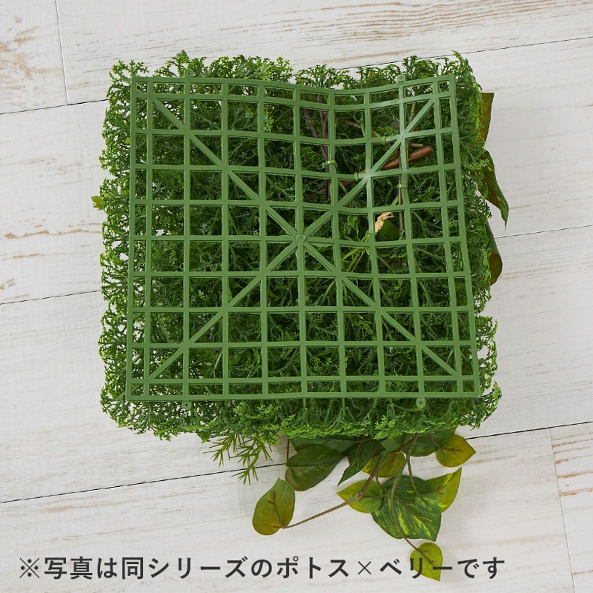 グリーンマット プミラｘシダファーン H38 08