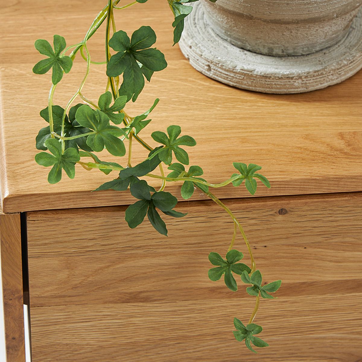 シュガーバイン テトラプランター H20 05