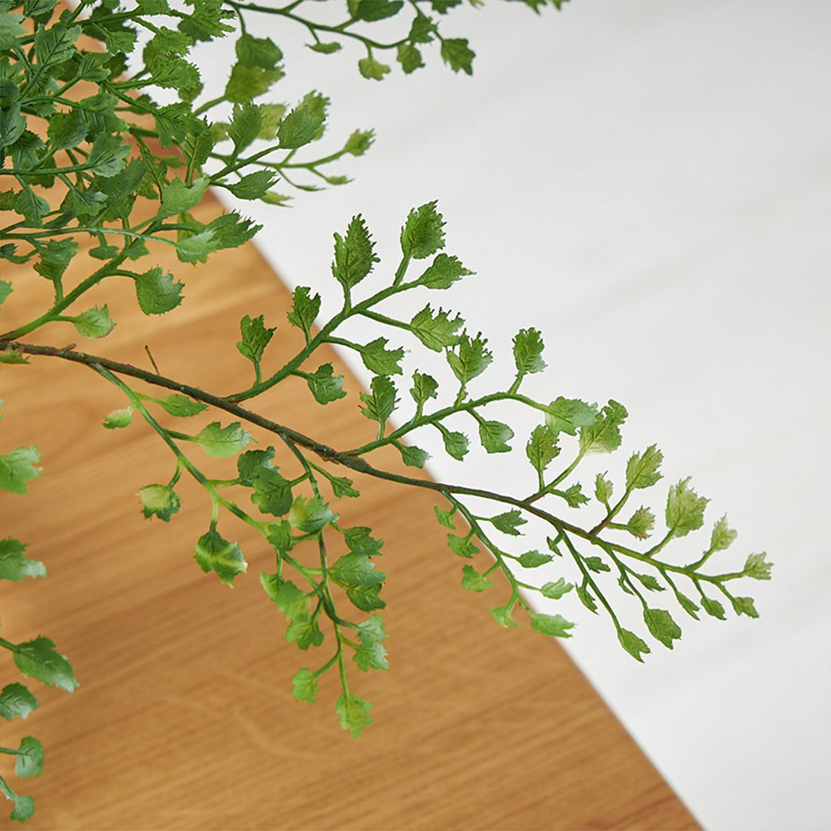 アジアンタムｘベリー ガラスベース H30 04