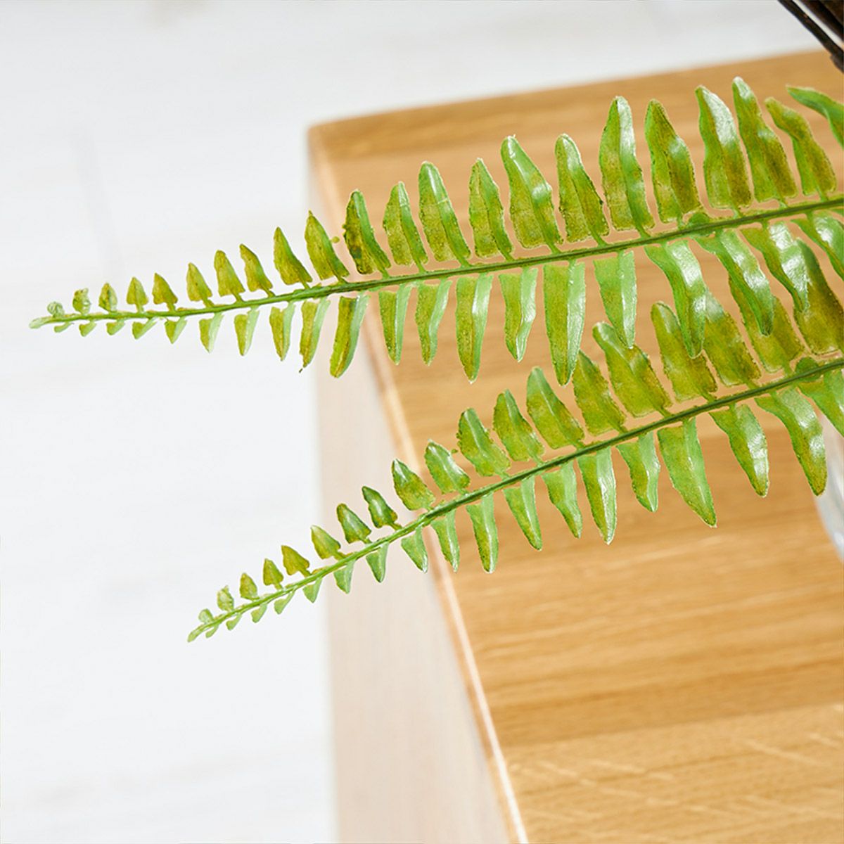 アジアンタムｘベリー ガラスベース H30 06