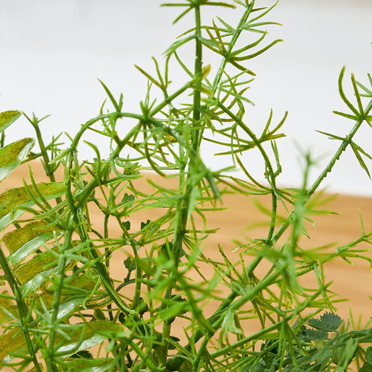 アジアンタムｘベリー ガラスベース H30 07