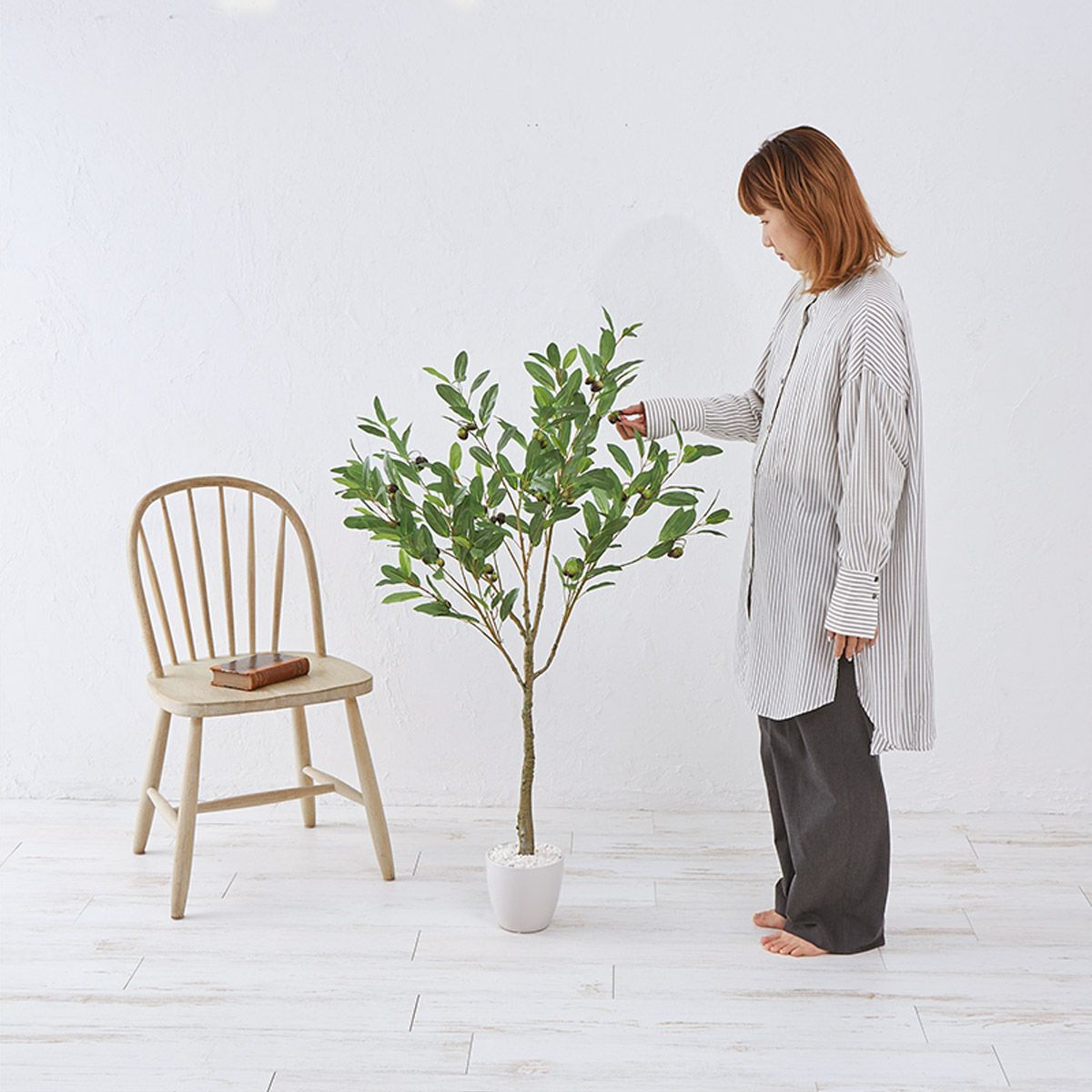 オリーブ　H120 01