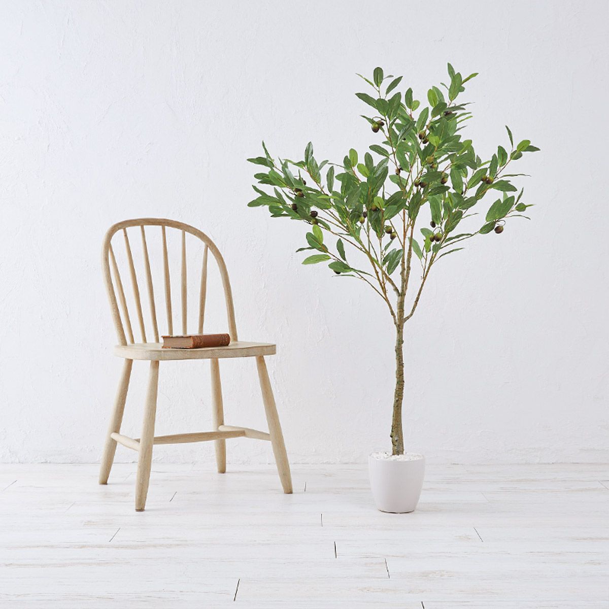 オリーブ　H120 02