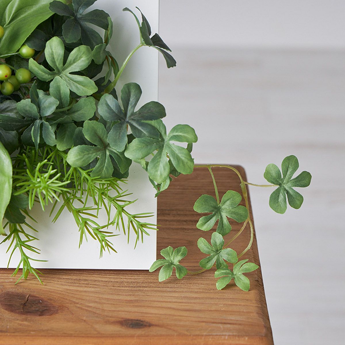 壁掛けグリーン サンキライ ウォールデコ 03