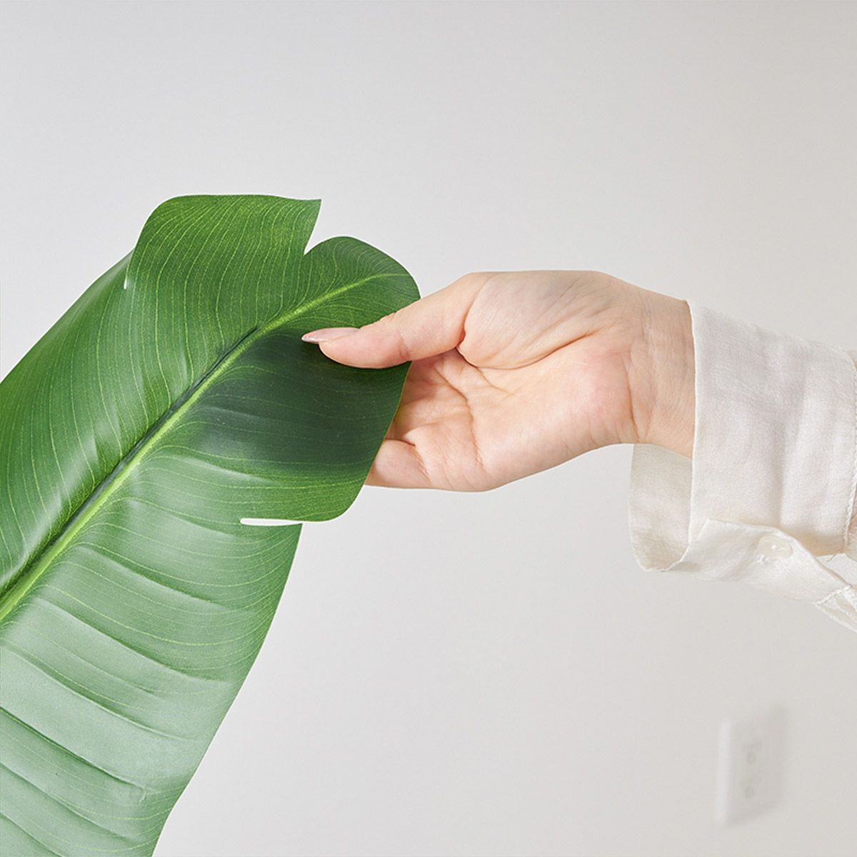 ストレリチア スリムポットH165 04