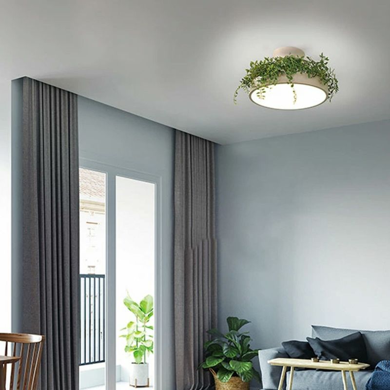 マネードローイング、ガーデンオブディライト、ロードストーン Mackintosh コート アウター 「別注」「MACKINTOSH」RAINTEC