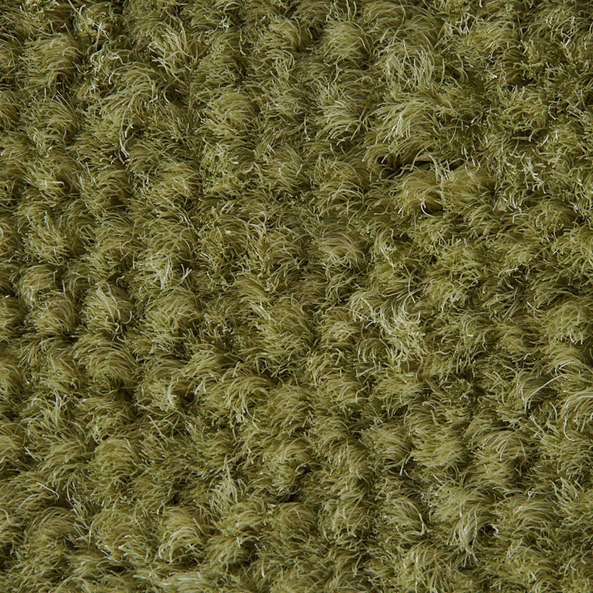 レモド グリーン2