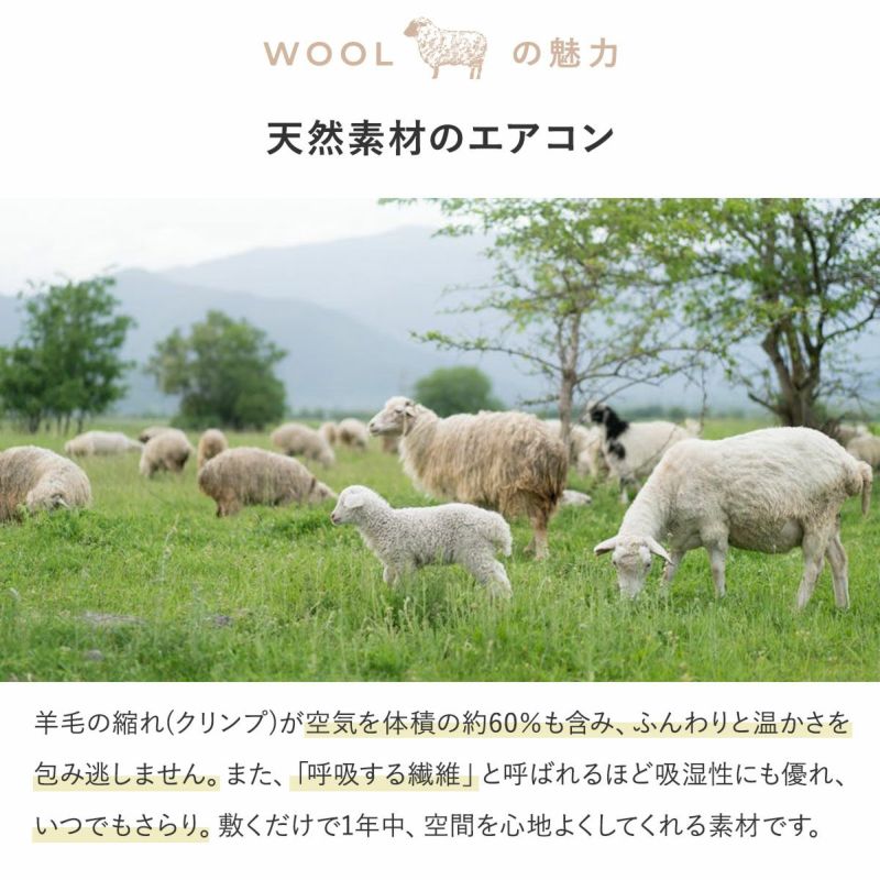 ウールパレット01