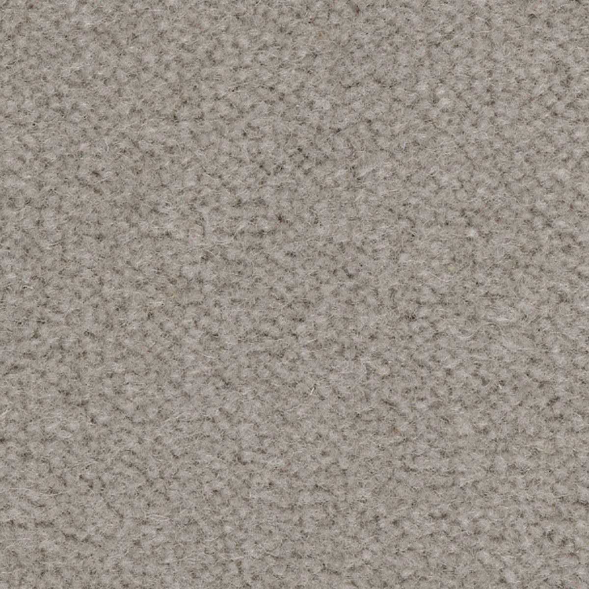 レゴンス　グレー