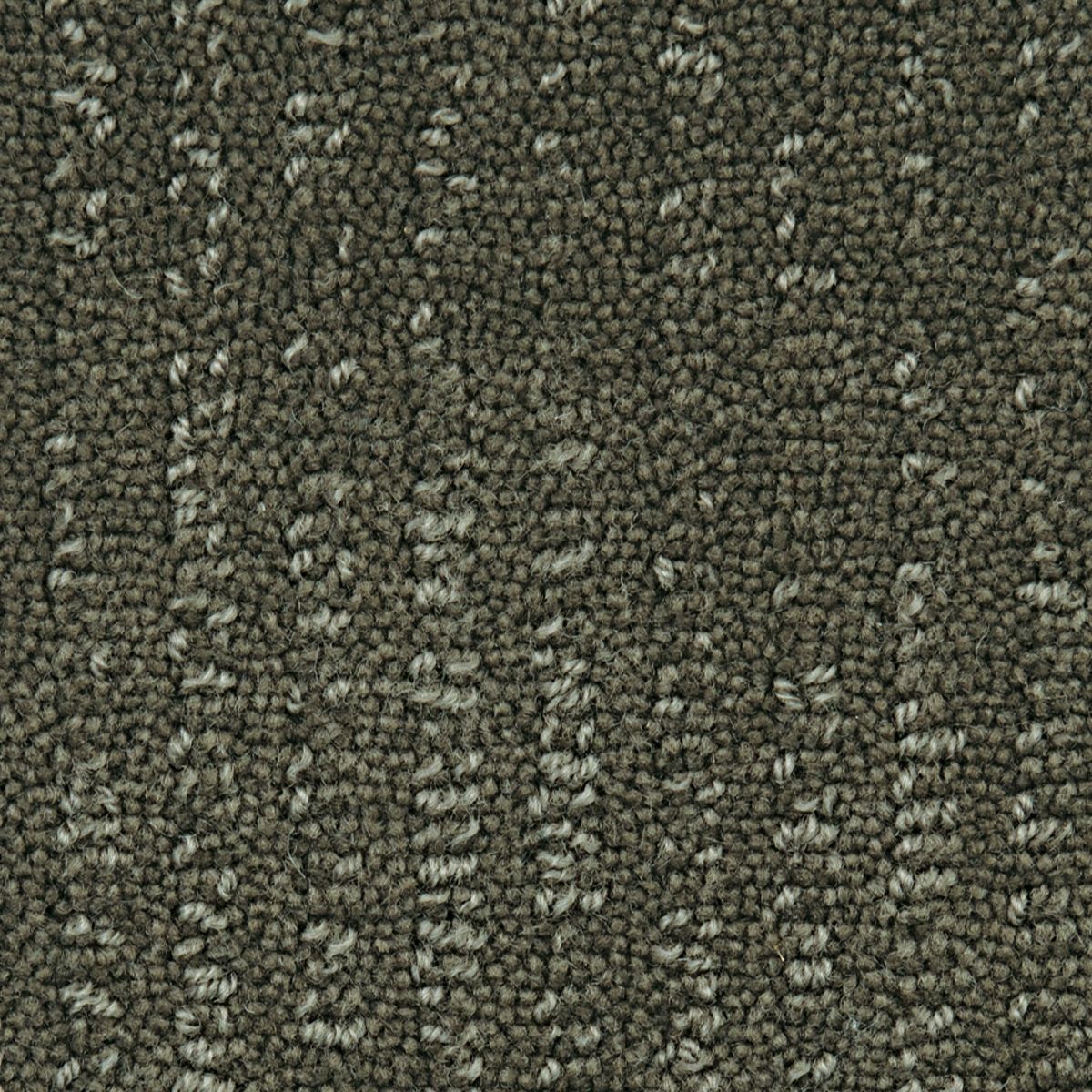 ドルー　モスグレー