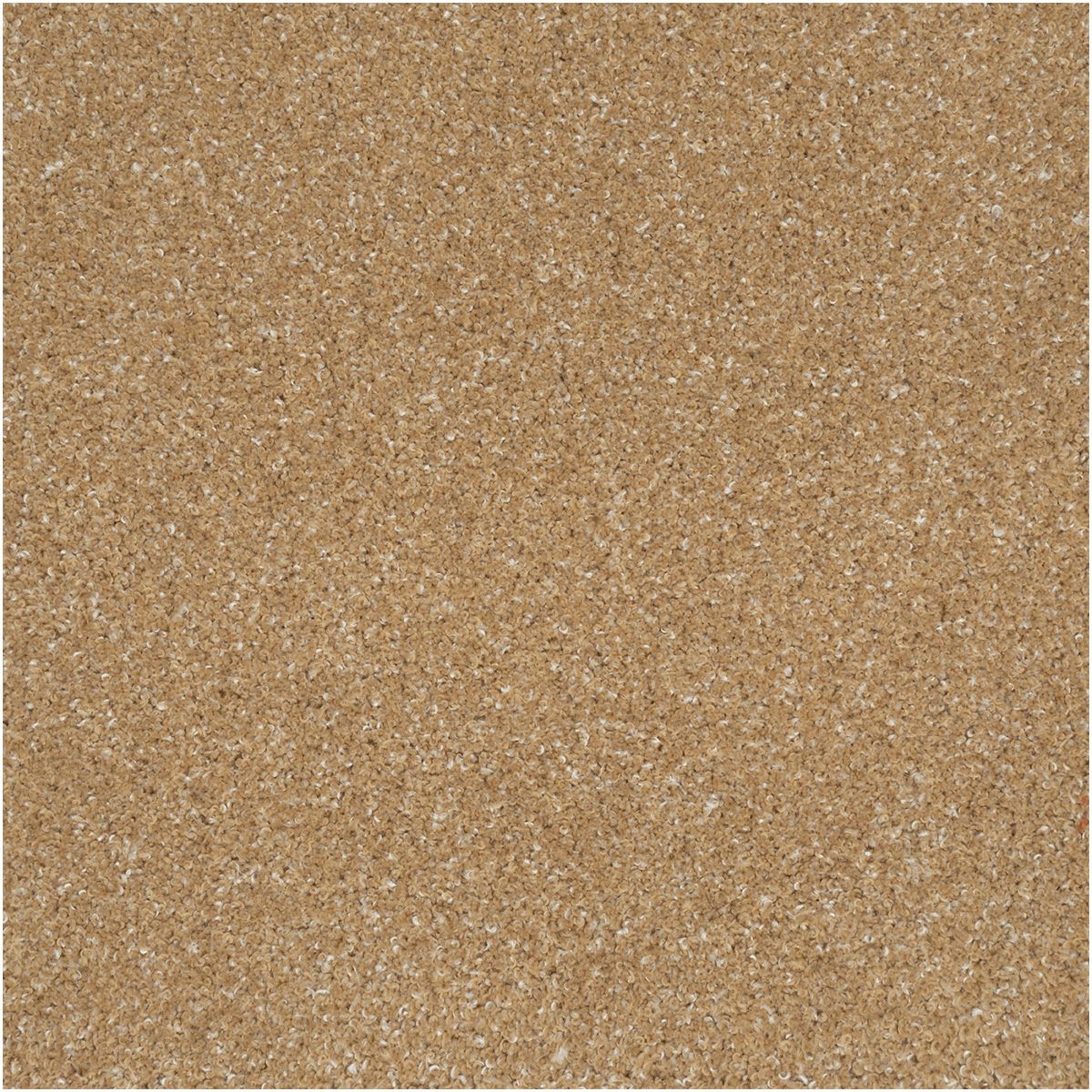 テーヌ　ベージュ