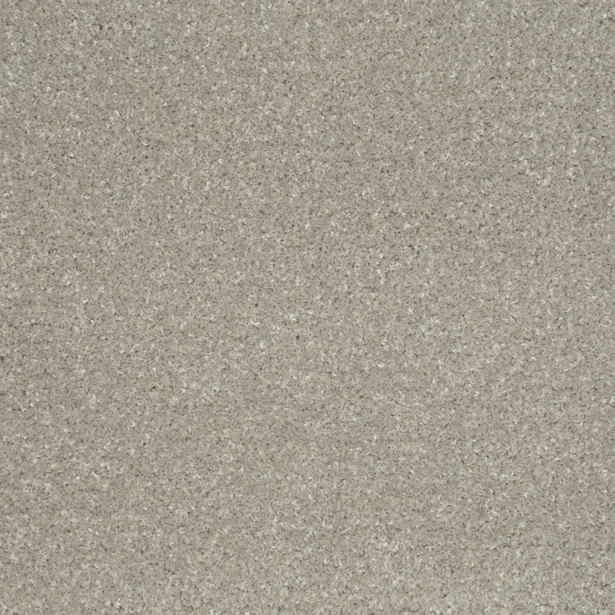 テーヌ　ライトグレー