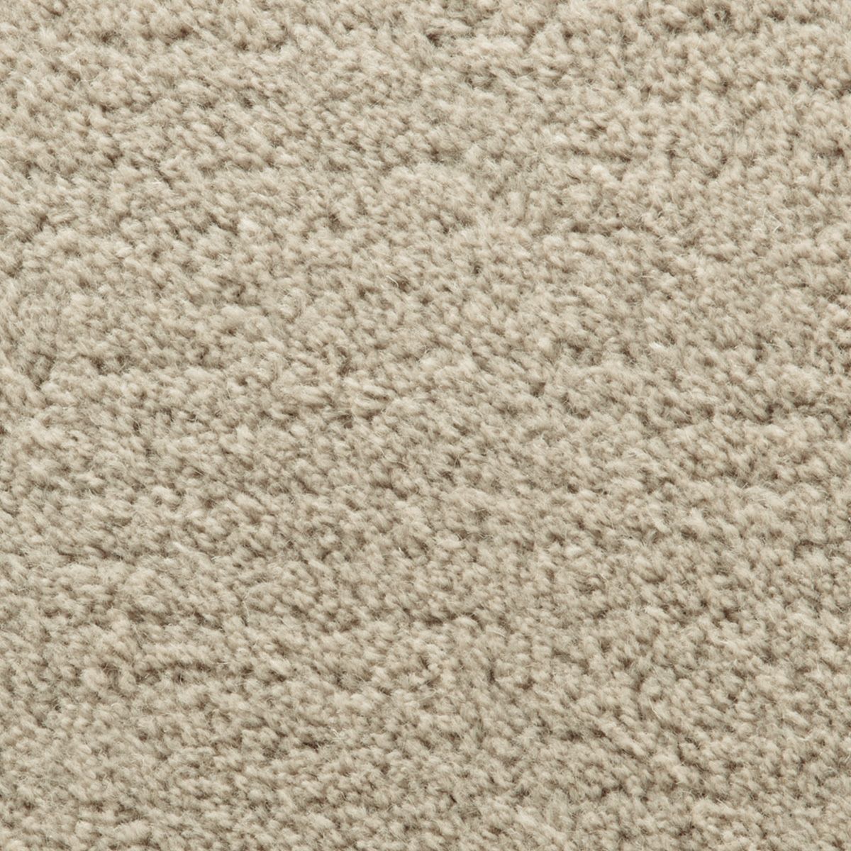 タイユ　グレージュ