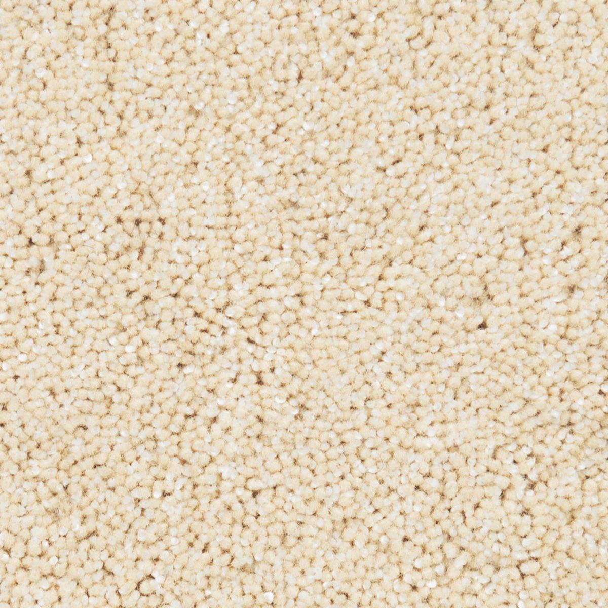 ダラゴ　アイボリー