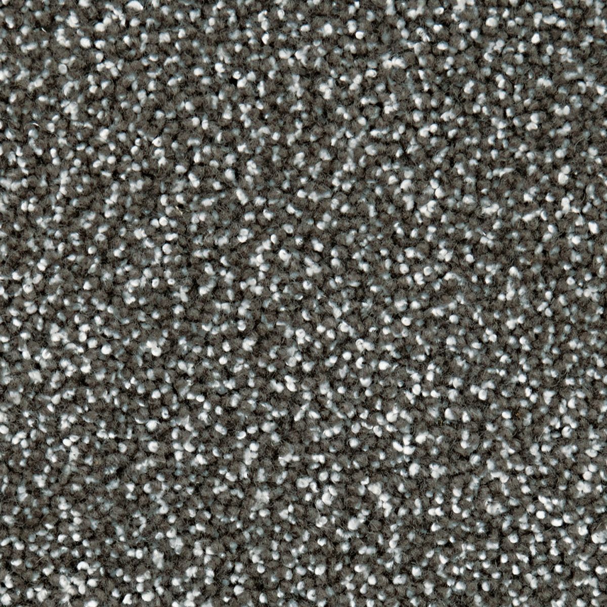 ダラゴ　ブラウン