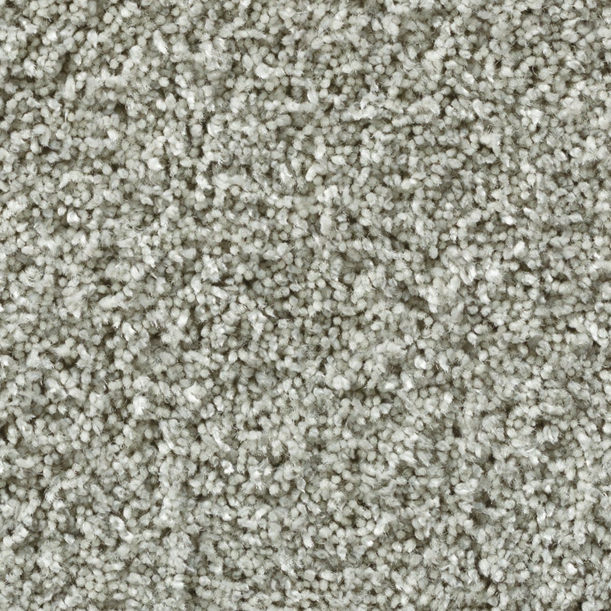 ロベール　ライトグレー