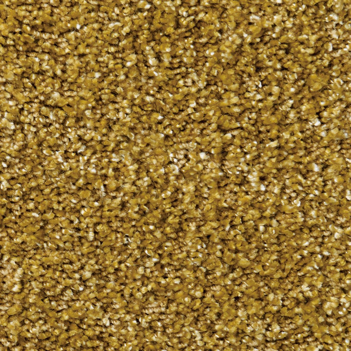 ロベール　ライトブラウン