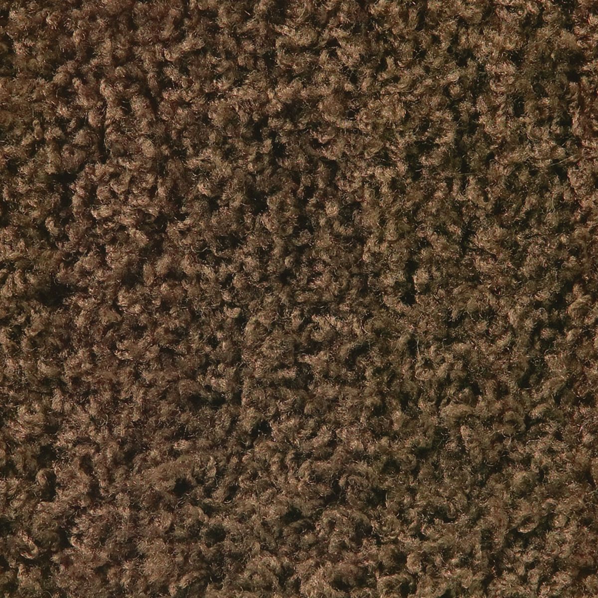 シモン　12mm　ブラウン