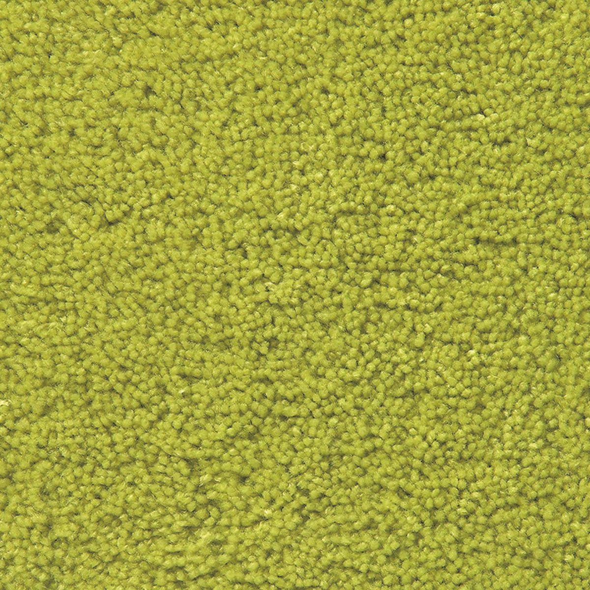 パスカル　イエローグリーン